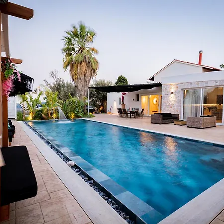 Gatsby Rhodes -two Brand New Exclusive