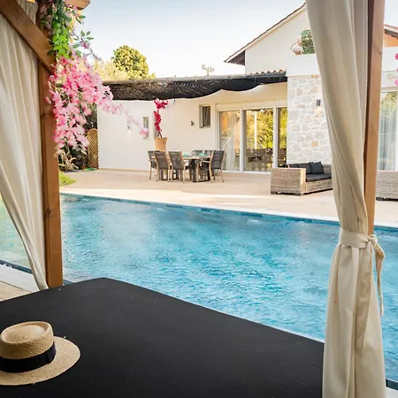 Gatsby Rhodes -two Brand New Exclusive * Asgourou