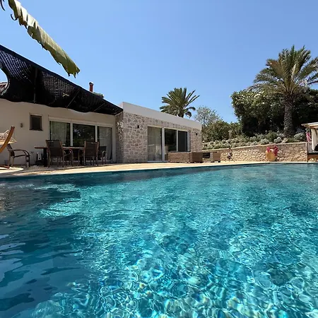 Gatsby Rhodes -two Brand New Exclusive Asgourou