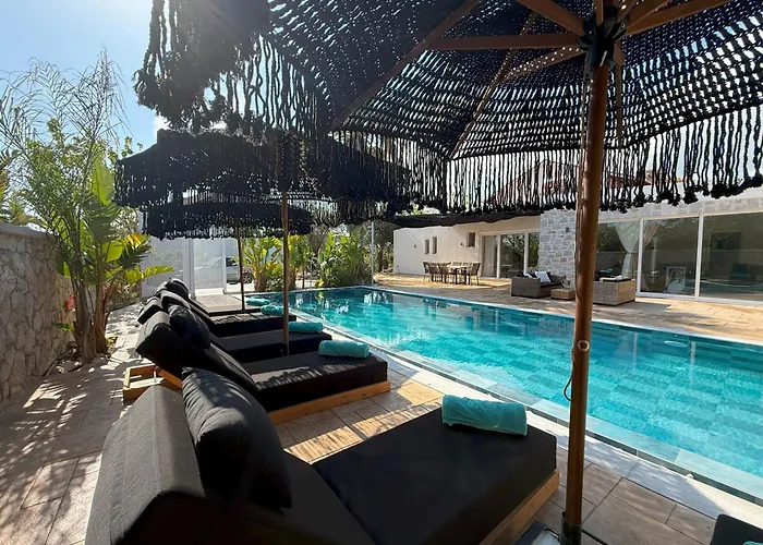 Gatsby Rhodes -two Brand New Exclusive *