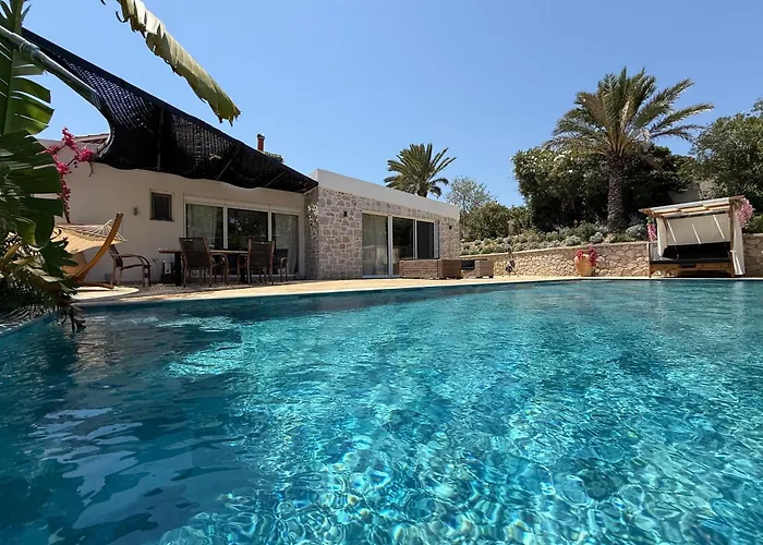 Gatsby Rhodes -two Brand New Exclusive Asgourou