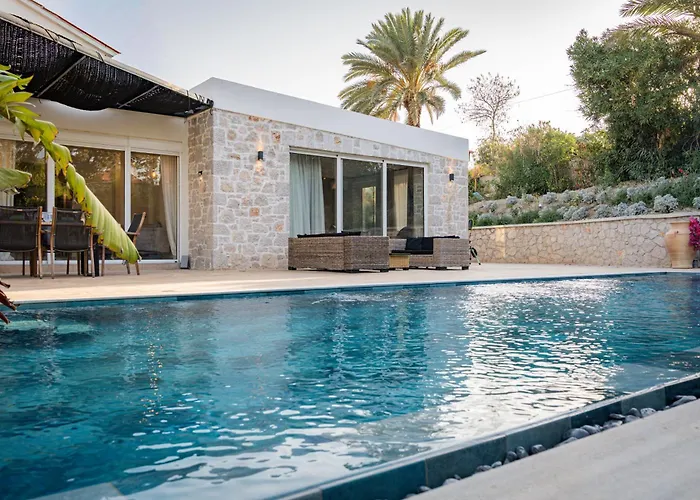 Gatsby Rhodes -two Brand New Exclusive